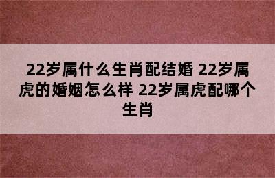 22岁属什么生肖配结婚 22岁属虎的婚姻怎么样 22岁属虎配哪个生肖